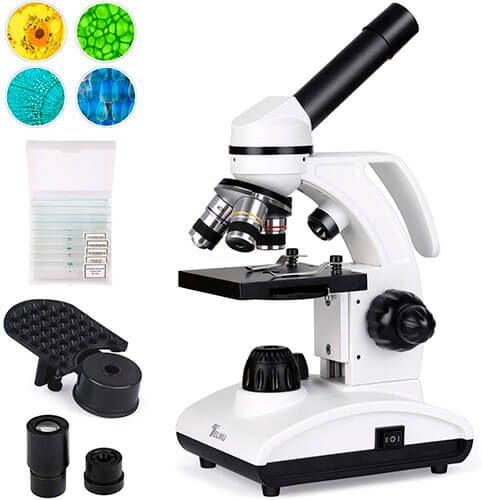 TELMU Microscope