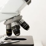 Best Microscope Buying Guide and Reviews