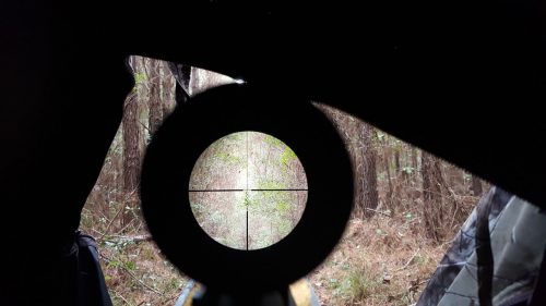 spotting scope for hunting