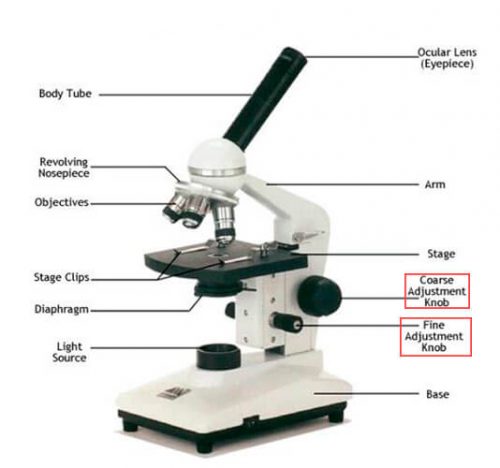 Can You Use The Fine Adjustment Knob On A Microscope