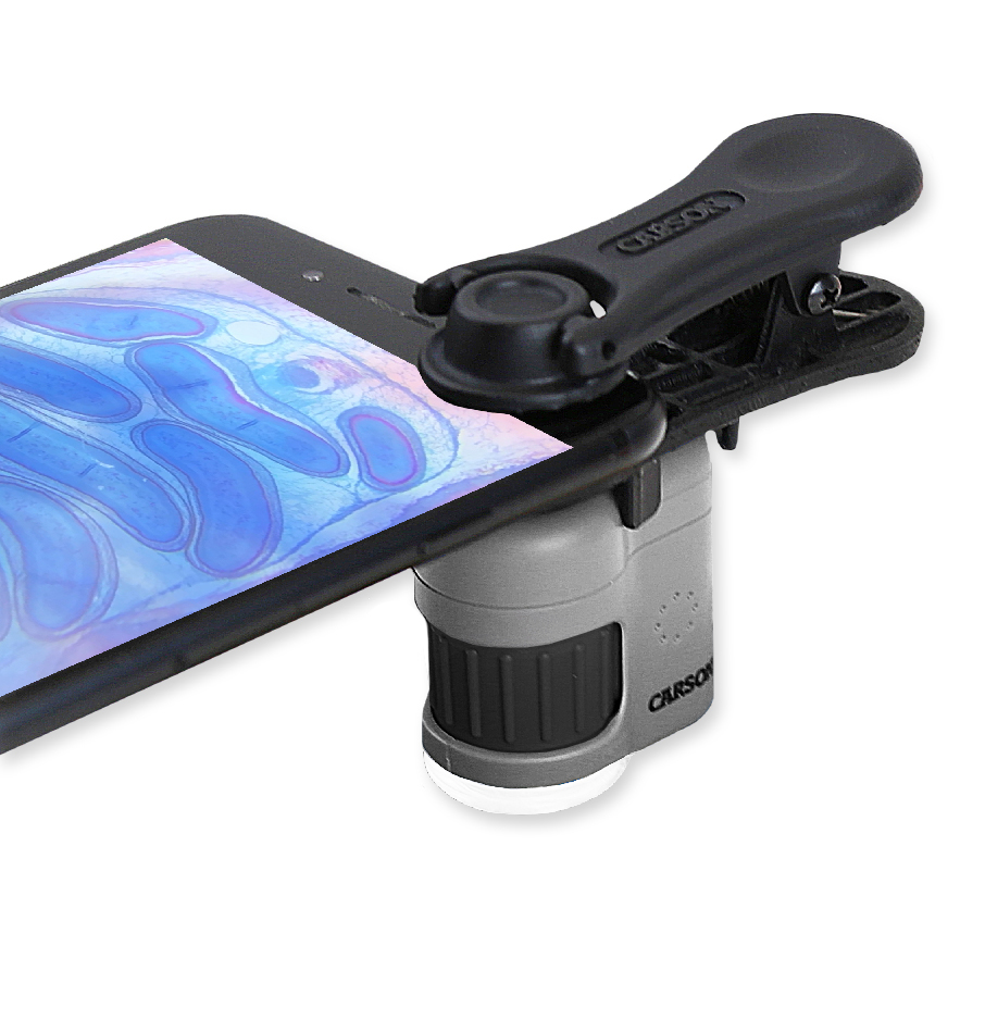 Carson MicroMini MM-380 20x keychain pocket microscope